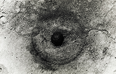 2010-3
