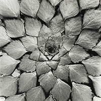 2013-11
