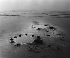 2016-02