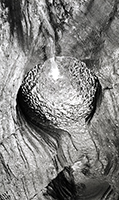 2016-4