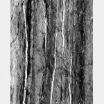 No. 9